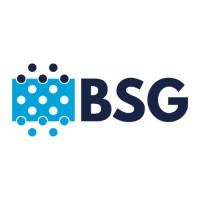BSG Europe logo - Similar company to Biozone