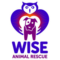 Wise Animal Rescue