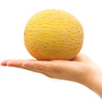 Melon logo - Similar company to Tomascon