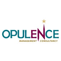 OPULENCE ACCOUNTING AND BOOK KEEPING LLC logo - Similar company to Alpha Data Accounting And Book Keeping