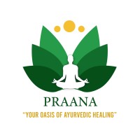 Praana Ayuveda Boutique Hotel logo - Similar company to Holisan
