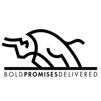 Bold Promises Delivered logo - Similar company to Accelevation Llc