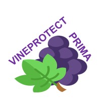 VINEPROTECT logo - Similar company to Prime Human Performance