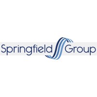 The Springfield Group logo - Similar company to Cfe Installations Limited