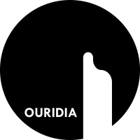 Ouridia Creative Studio logo - Similar company to Zigzag Graphics Studio