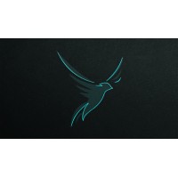 Birds logo - Similar company to Nova Academy