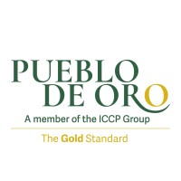 PUEBLO DE ORO DEVELOPMENT CORPORATION logo - Similar company to Antz Consultancy