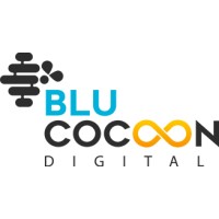 Blu Cocoon Digital logo - Similar company to Videonetics