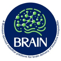 BRAIN Project logo - Similar company to Brain Project