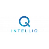 IntelliQ logo - Similar company to Intelliq It
