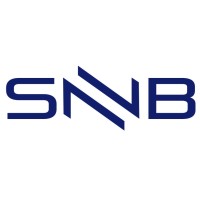 SNB Creative Group logo - Similar company to Nmdinc
