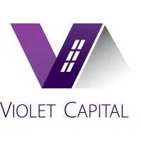 Violet Capital logo - Similar company to Crewbee