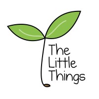 The Little Things Charity logo - Similar company to Double R Properties