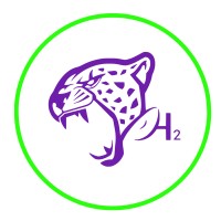 Cheetah H2 Racing logo - Similar company to Ej Jangada