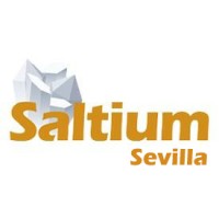 SALTIUM SEVILLA logo - Similar company to Itsy Bitsy Baby Spa