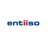 entiiso logo - Similar company to Tip Technik Und Informatik Partner