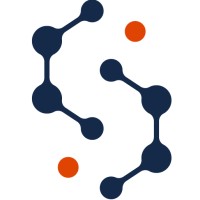 STE Analytics logo - Similar company to Dharmendra