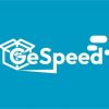 Gespeed Group logo - Similar company to 𝗟𝗲 𝗟𝗲𝘃𝗲𝗹 -Agence Numérique