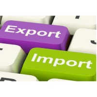 The World's Leading Customs Data Platform logo - Similar company to Customs Data Service
