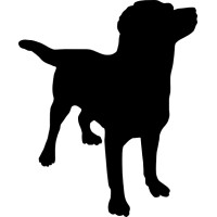 Dogged logo - Similar company to Gauger + Associates