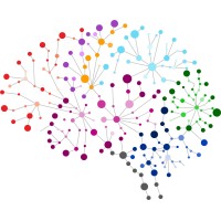 Neurosciences Master’s Program at the University of Crete logo - Similar company to Asklipios Diagnosis