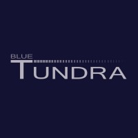 Blue Tundra Software Llc