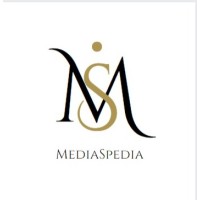 MediaSpedia logo - Similar company to Kkr Digital Networking