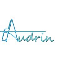Audrin Comercio logo - Similar company to Printtsub
