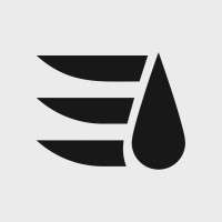 Social Shiva logo - Similar company to Hashtag Creative Bug