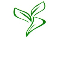 Mammoth Services Dubai logo - Similar company to Mammoth Services