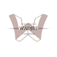 Wadjet Consulting logo - Similar company to Next Coaching
