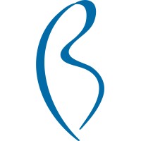 Bole logo - Similar company to Auridesignproject