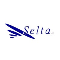 Selta Ltda. logo - Similar company to Sersimples.Cl