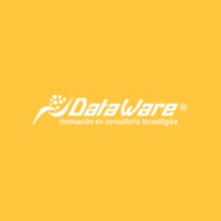 DataWare Soluciones logo - Similar company to Independiente