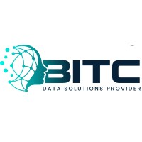BIZ IT CONSULTING Inc logo - Similar company to Mdt-Azure Data Management