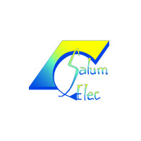 SALUM-ELEC logo - Similar company to Sorenam