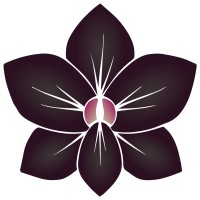 The Belize Collection logo - Similar company to Vista Real Estate