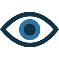 Vision Software Solutions logo - Similar company to Presto Media