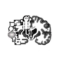 NEUROARCHITECTURA logo - Similar company to The Centre For Conscious Design (Ccd)