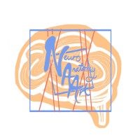 NeuroAnatomyArt logo - Similar company to Cnseminars - Clinical Neuroanatomy Seminars