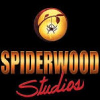 Spiderwood Studios 969 logo - Similar company to Caster Studios