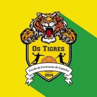 Associação Desportiva Escola de Formação de Espinho - Os Tigres logo - Similar company to Conservice Consultorias E Serviços