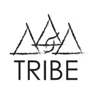 TRIBE ARCHITECTS SARL logo - Similar company to Tribe Architects