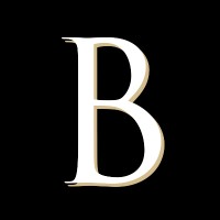 Bienville Business Credit, Inc. logo - Similar company to Digi-Developers