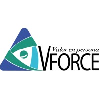 VForce Mexico logo - Similar company to Element Rh