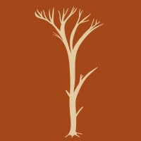 Brainspotting Online Coaching and Therapy with Jesse Jonesberg, MSW, LCSW logo - Similar company to Somatic Systems Institute