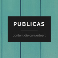 Publicas logo - Similar company to Financeker