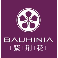Bauhinia logo - Similar company to Geso