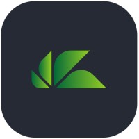 NexusVibe logo - Similar company to Systemerorr