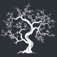Authentic Advisors logo - Similar company to Evergreen Financial Technology Group